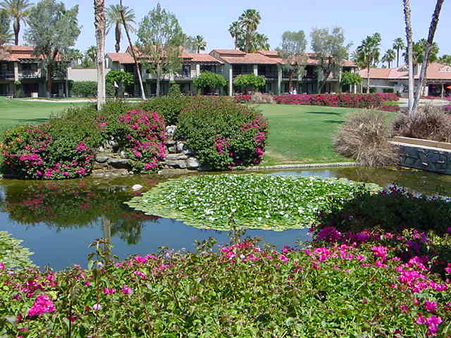 Marriot resort