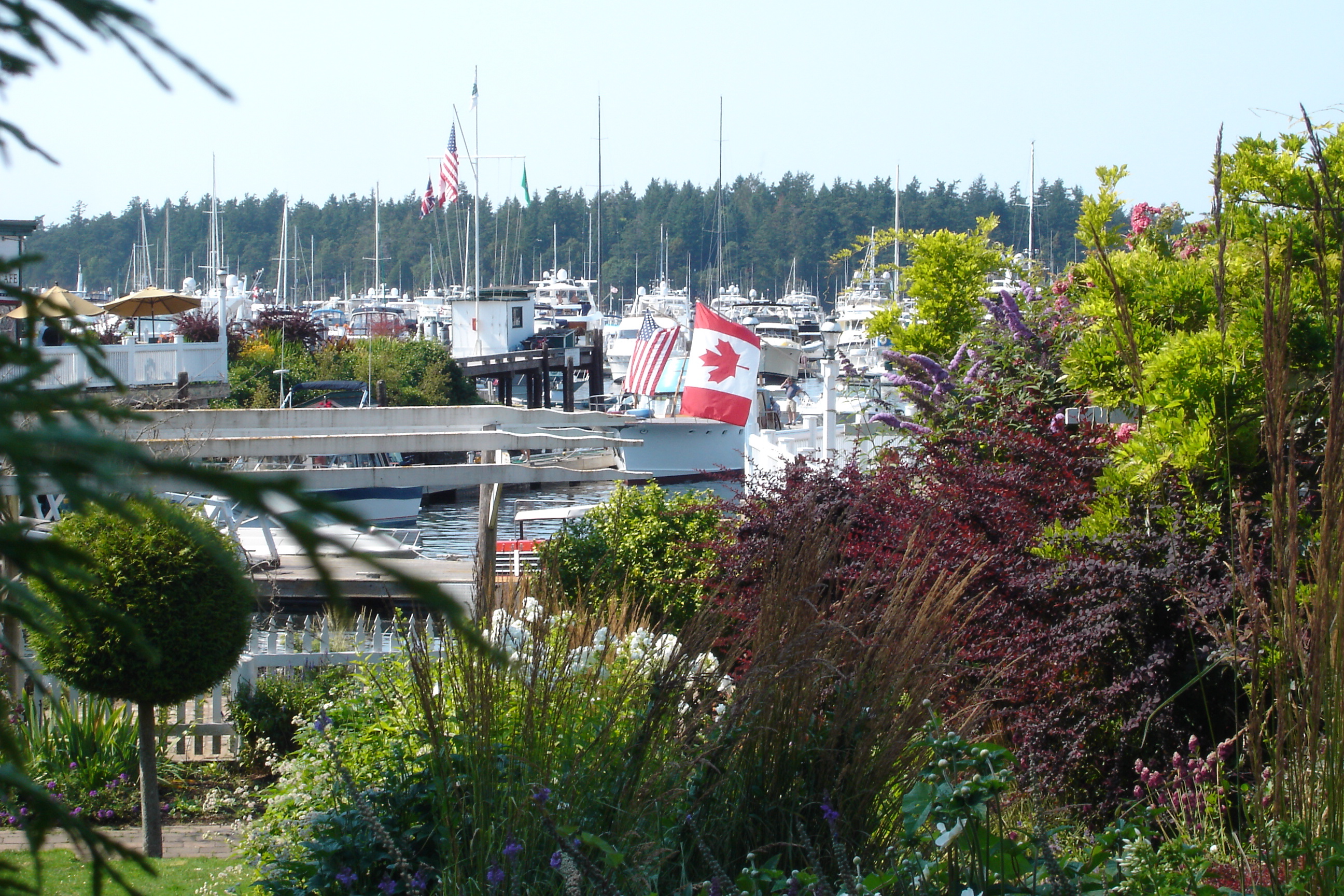 Roche Harbor