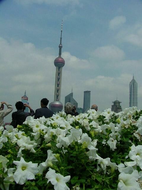 Pudong Buildings