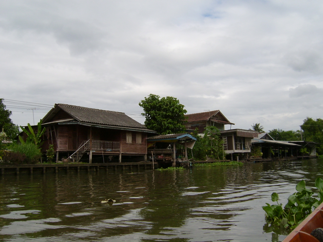 lotus farm