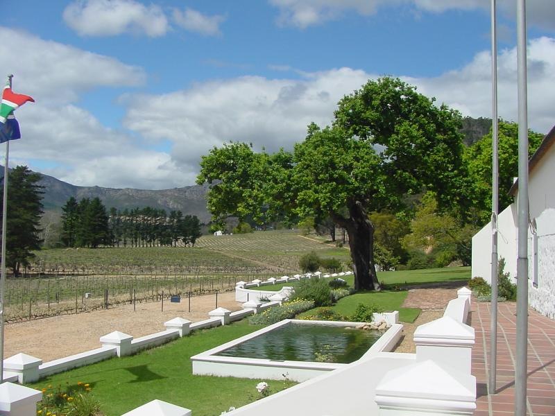 Stellenbosch Wine Country