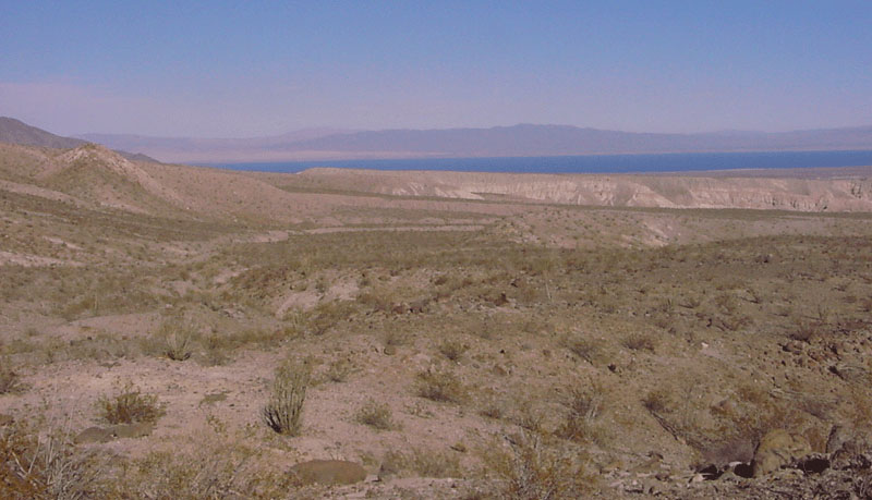 saltonsea1.jpg