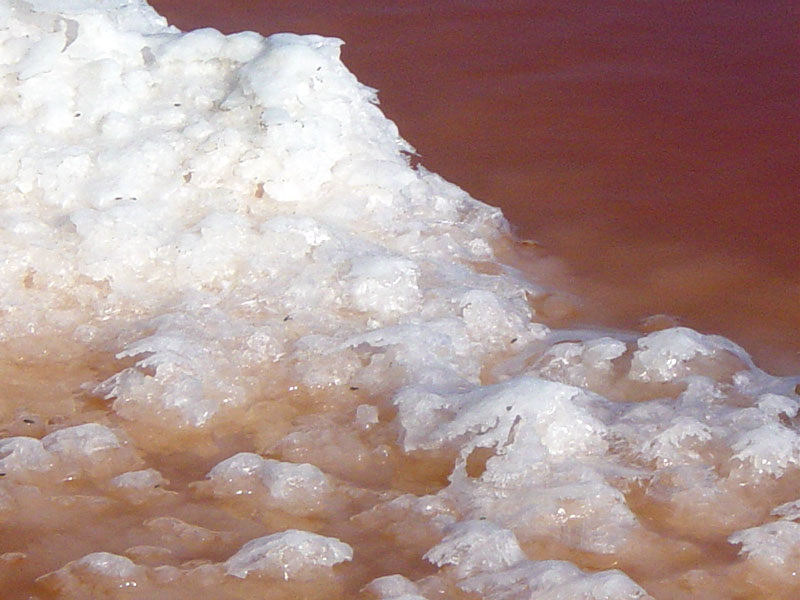 saltpond05.jpg