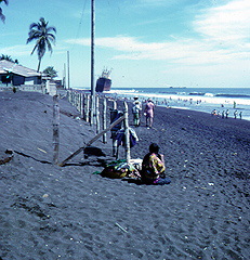 Beach in South America