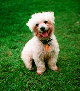 Sam
