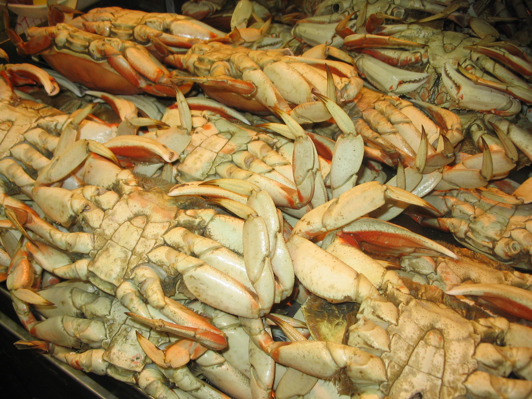 Crabs, crabs, crabs!