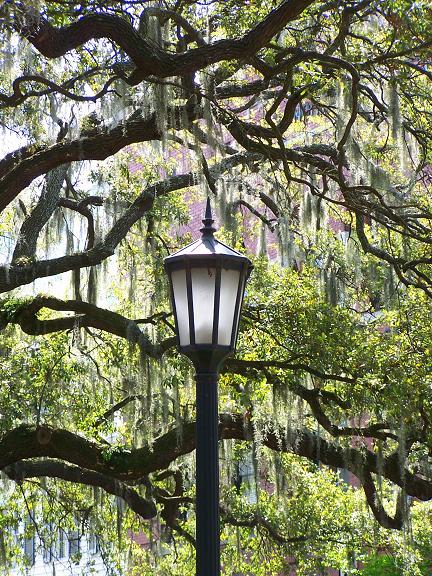 Savannah Lamppost