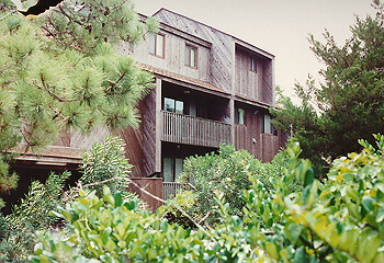 Housing on a beach in South Carolina.