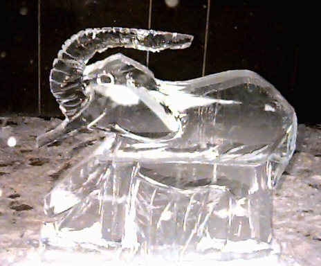 Ice sculpture in front of a store in downtown Ann Arbor Michigan