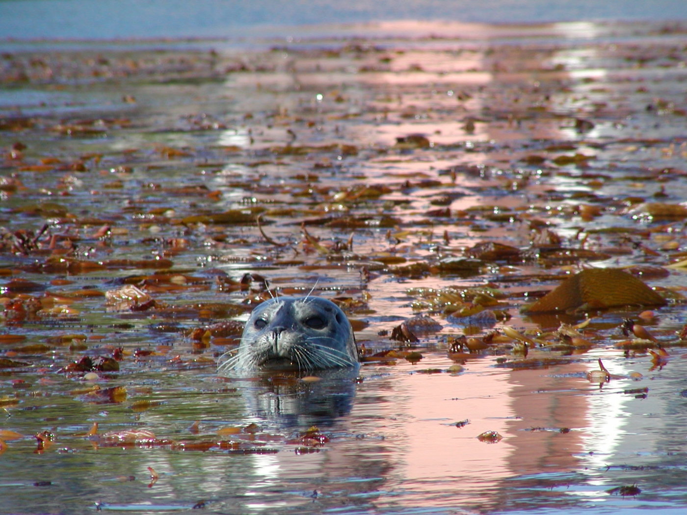 "Universities In Bangkok With International Programs"