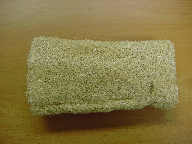 Sponge
