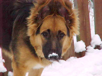 First Snow