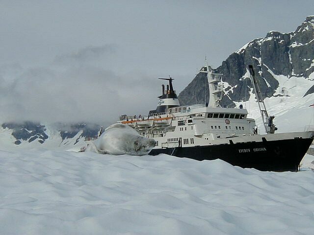 Ship and sleeping seal