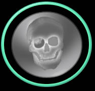 Skull Icon