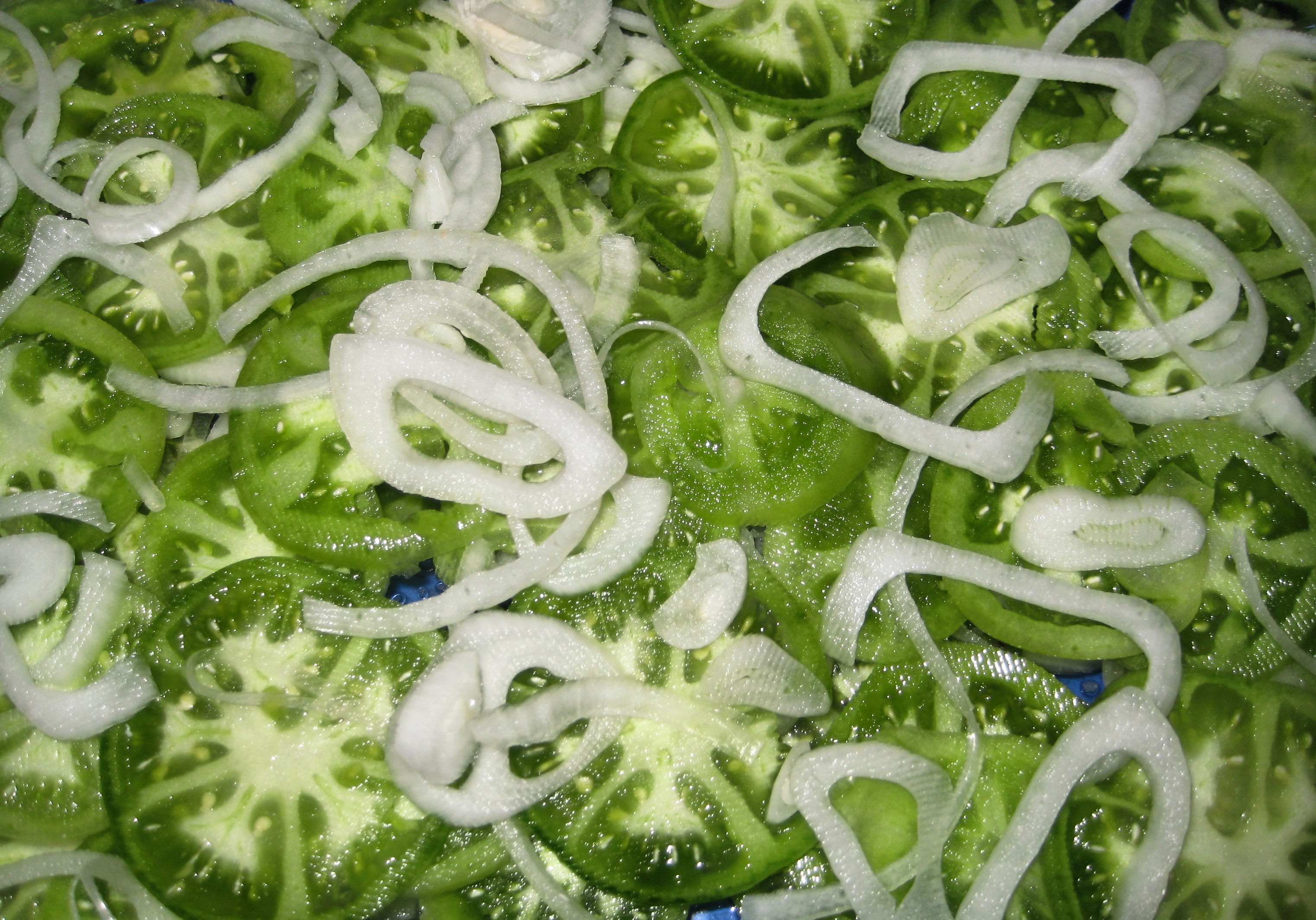 Sliced Green Tomatoes and Onion