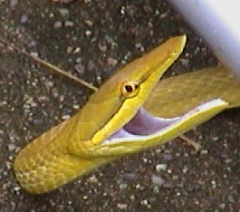 Old soccer jersey 24-25