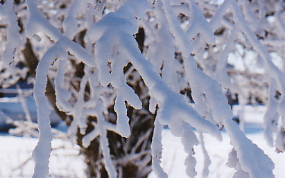 South Dakota Snow