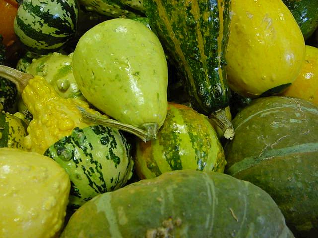 squash