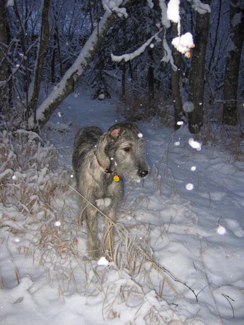 Starting to snow