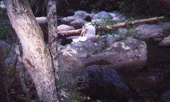 Enjoying a Snack at Talladega National Forest