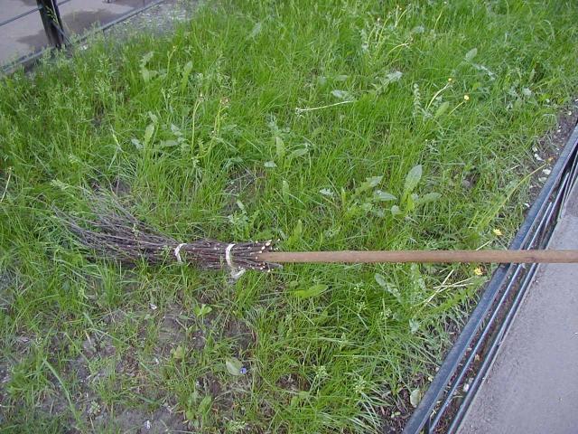 Street Broom