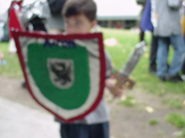 Costume and shield for the Medieval Faire