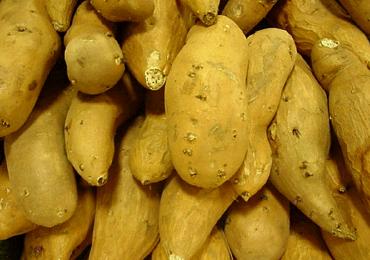 sweet potatoes