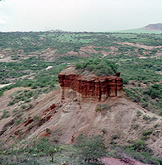 Tanzania landscape