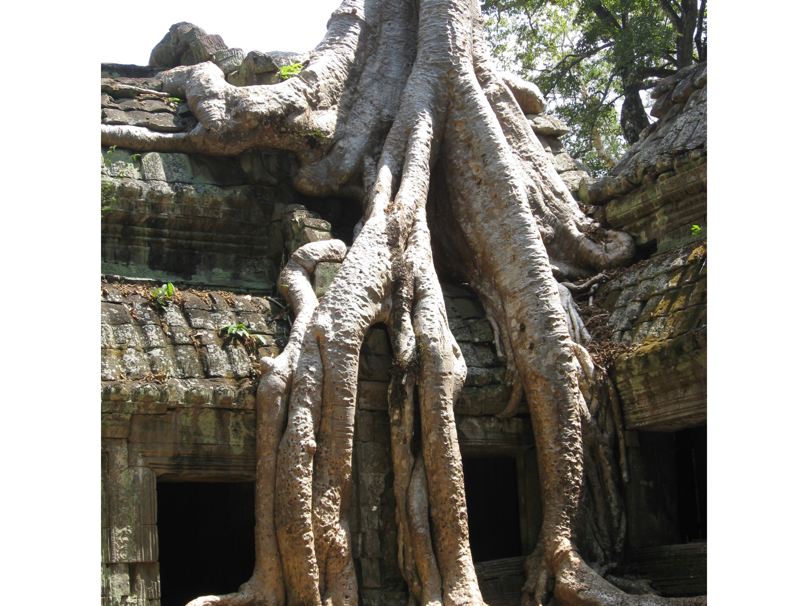 Ta Prohm