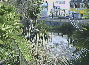 La Brea tar pit Los Angeles CA