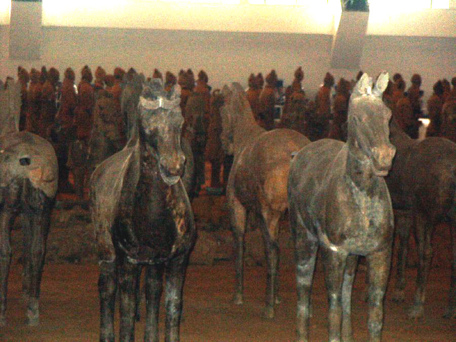 More than 500 clay horses were found. Horses were used for riding and for pulling war chariots.