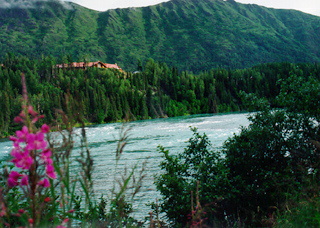 Alaskan river scene