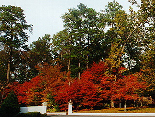 Berry College, Georgia