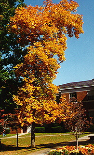 Berry College, Georgia