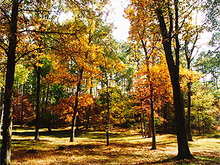 Berry College, Georgia