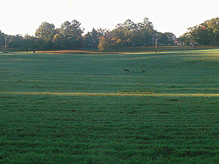 Berry College, Georgia