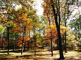 Berry College, Georgia