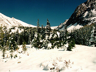 Canadian snow scene