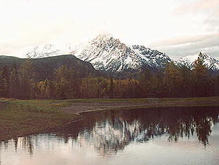 Lake scene