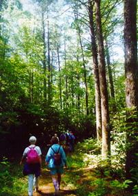 Hiking in the mountains