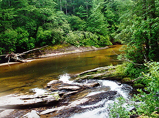 Mountain stream