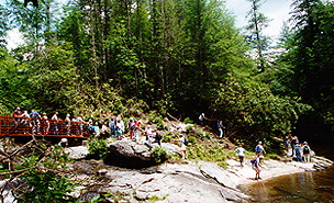 Group crossing bridge to go in mountain water