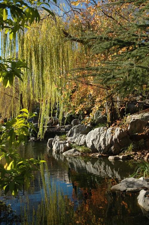 Chinese Gardens, Sydney, Australia