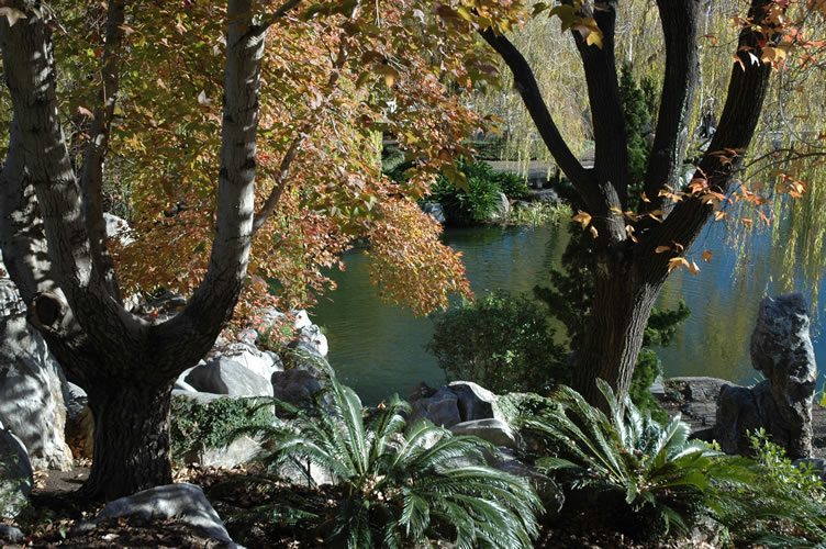 Chinese Gardens, Sydney, Australia