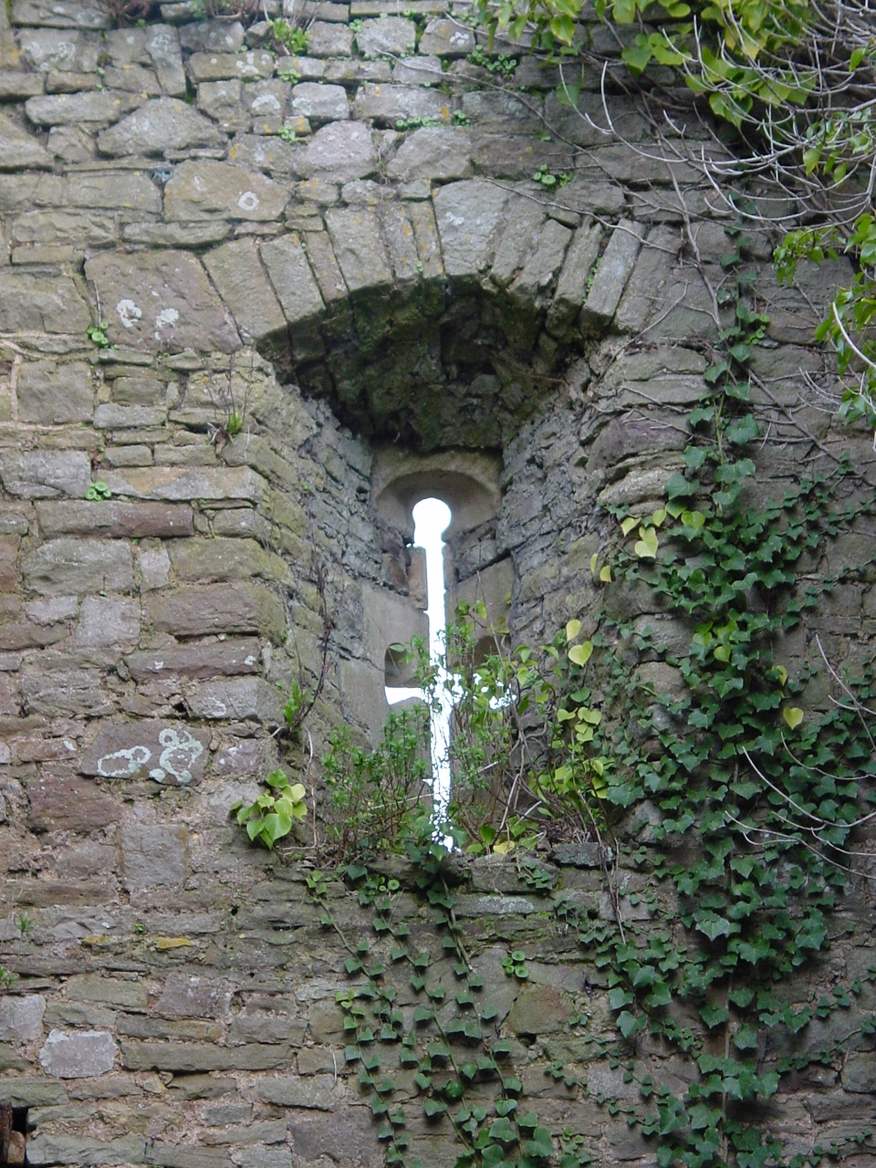 Castle Window