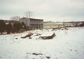 Snow on a farm in Tennessee.