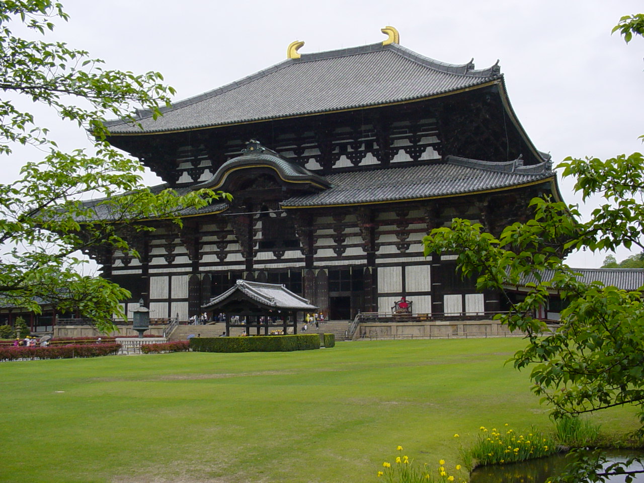 todaiji11.jpg