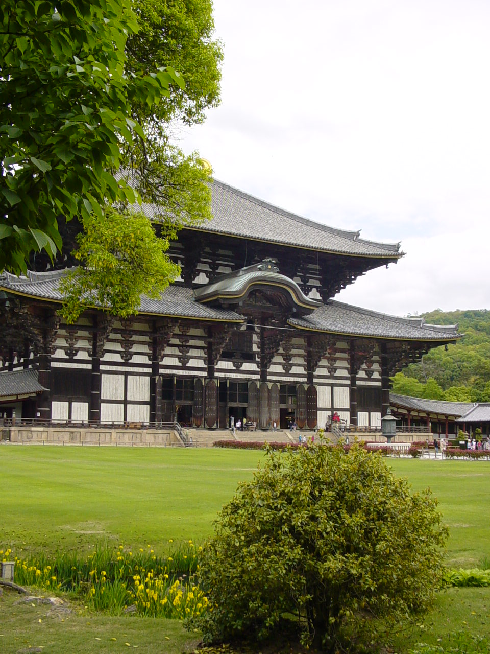 todaiji2.jpg