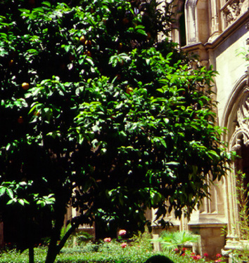 Toledo Reyes Cloister Catholics