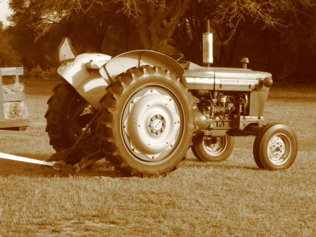 Farm tractor at the strawberry fields.